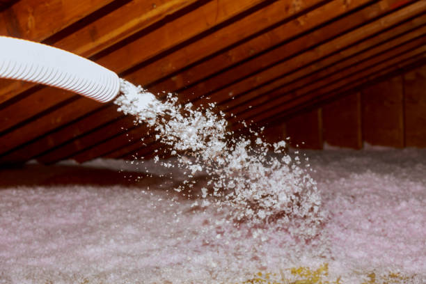 Best Insulation Installation Cost  in Oberlin, OH